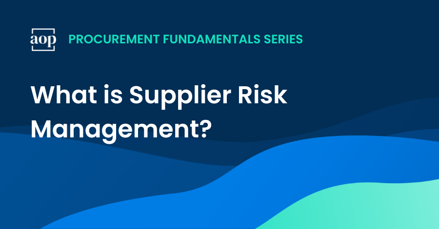 What is Supplier Risk Management?